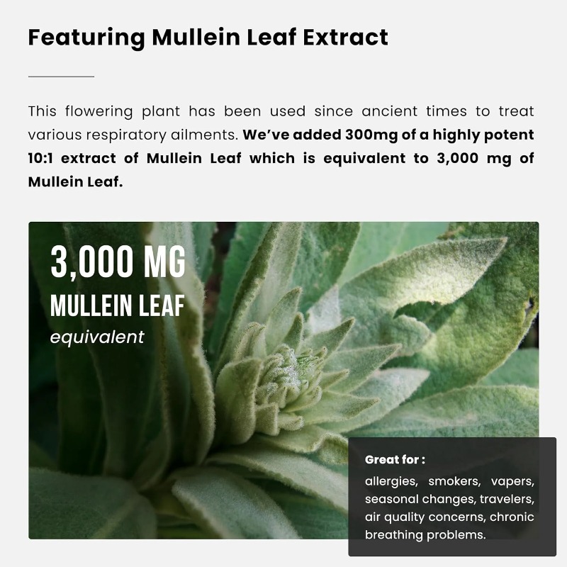 Extrait de feuille de molène - - Herbal Supplement avis et prix